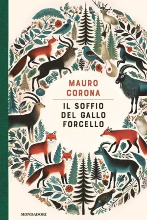 copertina misure sito 457x709